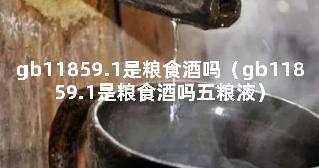 gb11859.1是粮食酒吗（gb11859.1是粮食酒吗五粮液）