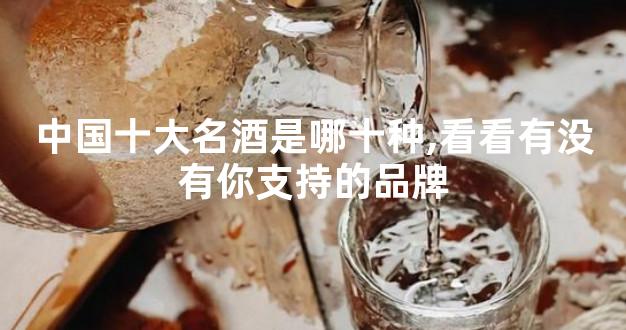 中国十大名酒是哪十种,看看有没有你支持的品牌