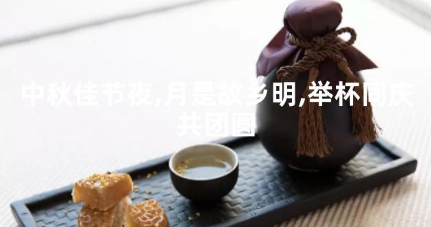 中秋佳节夜,月是故乡明,举杯同庆共团圆