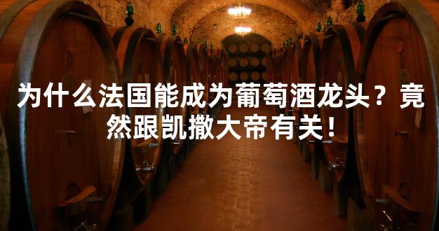 为什么法国能成为葡萄酒龙头？竟然跟凯撒大帝有关！