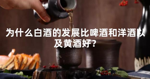 为什么白酒的发展比啤酒和洋酒以及黄酒好？