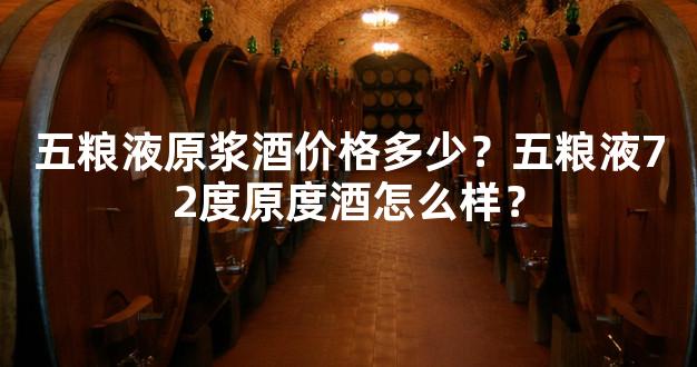 五粮液原浆酒价格多少？五粮液72度原度酒怎么样？