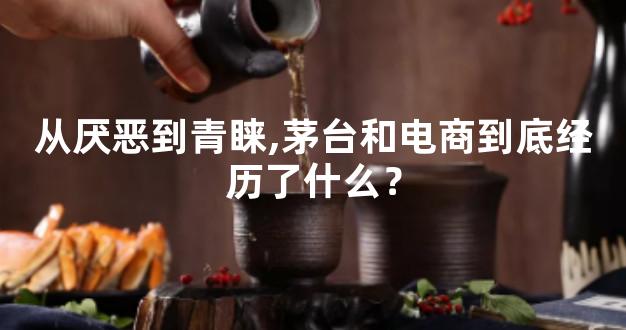 从厌恶到青睐,茅台和电商到底经历了什么？