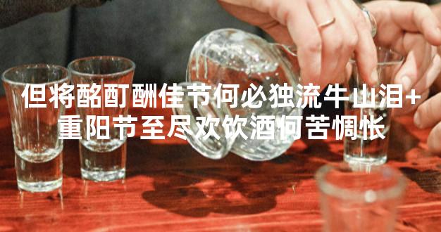 但将酩酊酬佳节何必独流牛山泪+重阳节至尽欢饮酒何苦惆怅