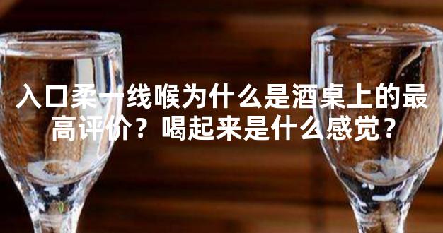 入口柔一线喉为什么是酒桌上的最高评价？喝起来是什么感觉？