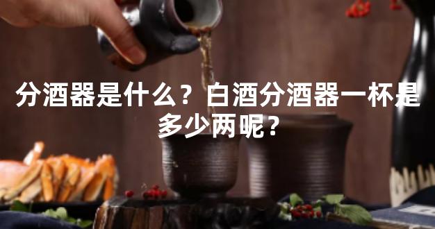 分酒器是什么？白酒分酒器一杯是多少两呢？