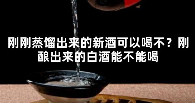 刚刚蒸馏出来的新酒可以喝不？刚酿出来的白酒能不能喝