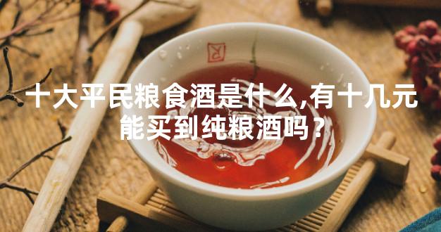 十大平民粮食酒是什么,有十几元能买到纯粮酒吗？