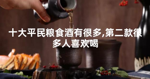 十大平民粮食酒有很多,第二款很多人喜欢喝