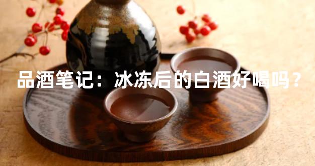 品酒笔记：冰冻后的白酒好喝吗？