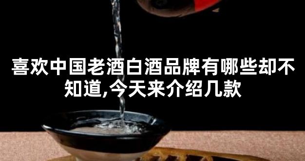 喜欢中国老酒白酒品牌有哪些却不知道,今天来介绍几款