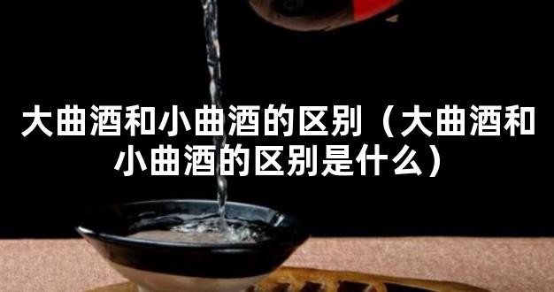 大曲酒和小曲酒的区别（大曲酒和小曲酒的区别是什么）