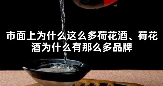 市面上为什么这么多荷花酒、荷花酒为什么有那么多品牌