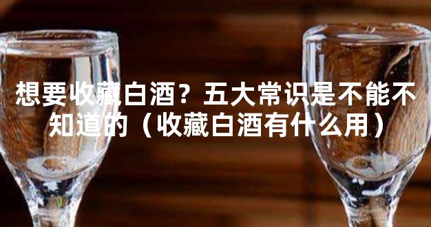 想要收藏白酒？五大常识是不能不知道的（收藏白酒有什么用）