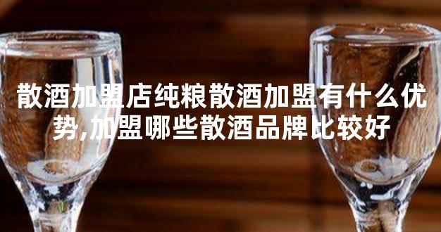 散酒加盟店纯粮散酒加盟有什么优势,加盟哪些散酒品牌比较好