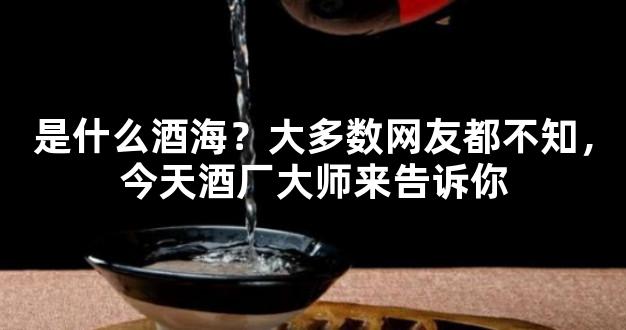 是什么酒海？大多数网友都不知，今天酒厂大师来告诉你