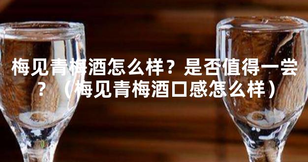 梅见青梅酒怎么样？是否值得一尝？（梅见青梅酒口感怎么样）