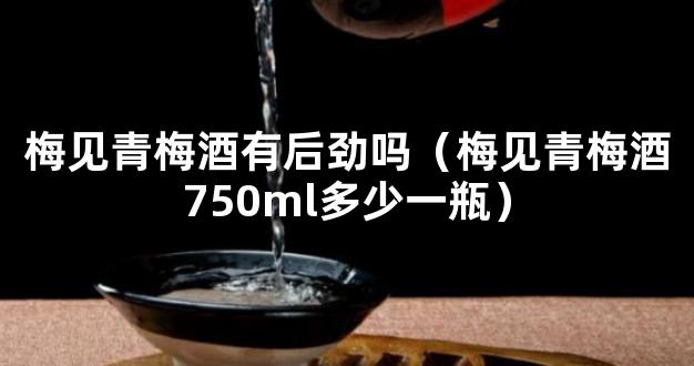 梅见青梅酒有后劲吗（梅见青梅酒750ml多少一瓶）