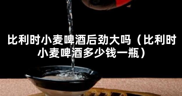 比利时小麦啤酒后劲大吗（比利时小麦啤酒多少钱一瓶）