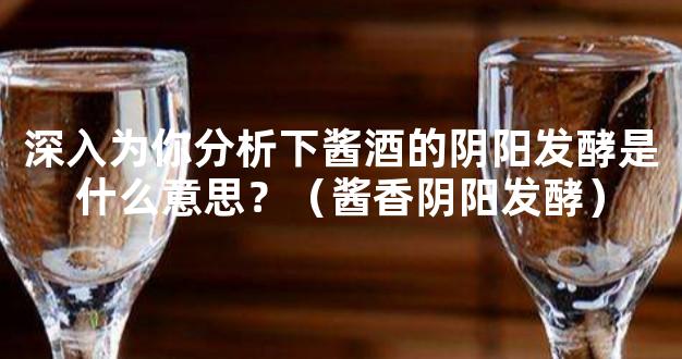 深入为你分析下酱酒的阴阳发酵是什么意思？（酱香阴阳发酵）