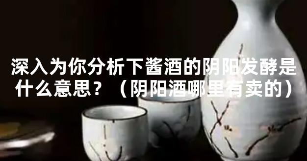 深入为你分析下酱酒的阴阳发酵是什么意思？（阴阳酒哪里有卖的）