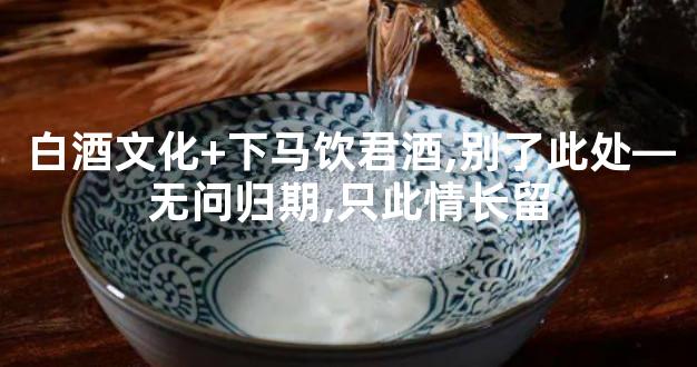 白酒文化+下马饮君酒,别了此处—无问归期,只此情长留