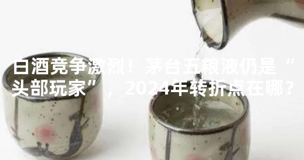 白酒竞争激烈！茅台五粮液仍是“头部玩家”，2024年转折点在哪？