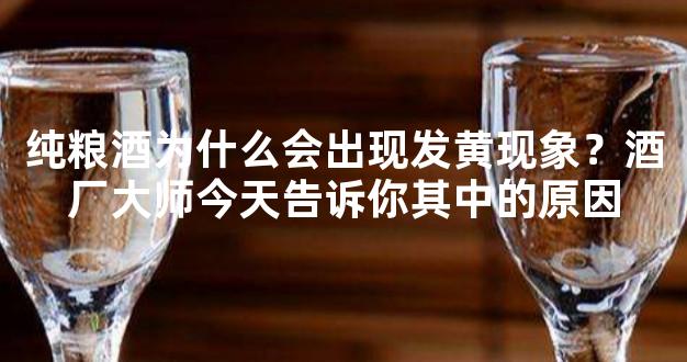 纯粮酒为什么会出现发黄现象？酒厂大师今天告诉你其中的原因