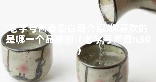 老字号酱香型白酒介绍,你喜欢的是哪一个品牌的（老字号酱酒n30）