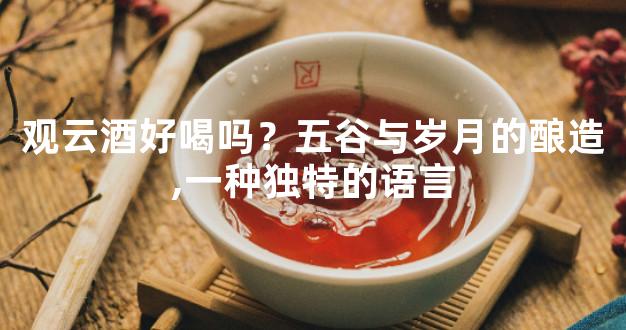 观云酒好喝吗？五谷与岁月的酿造,一种独特的语言