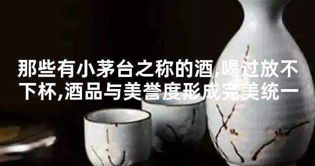 那些有小茅台之称的酒,喝过放不下杯,酒品与美誉度形成完美统一