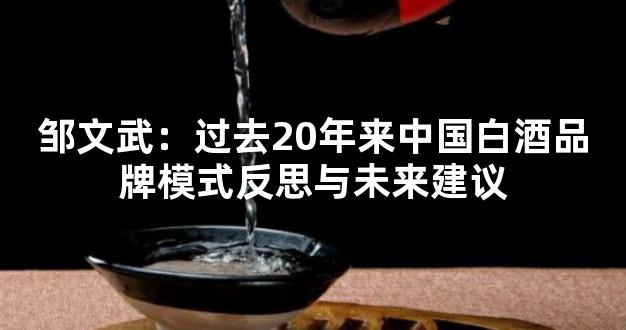 邹文武：过去20年来中国白酒品牌模式反思与未来建议