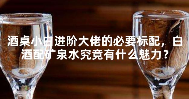 酒桌小白进阶大佬的必要标配，白酒配矿泉水究竟有什么魅力？