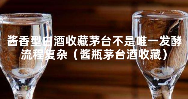 酱香型白酒收藏茅台不是唯一发酵流程复杂（酱瓶茅台酒收藏）